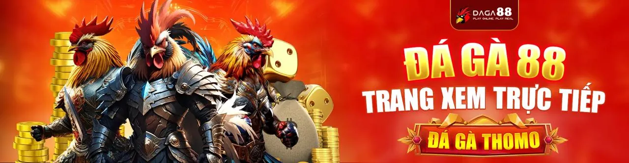 Đá Gà Trực Tuyến Hấp Dẫn tại cq99