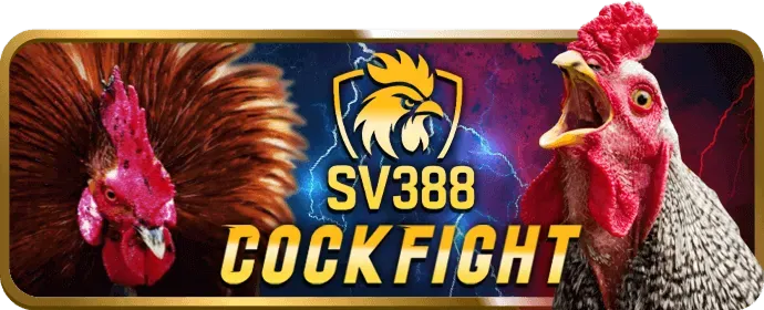 Cài đặt trình duyệt và quản lý cookie
